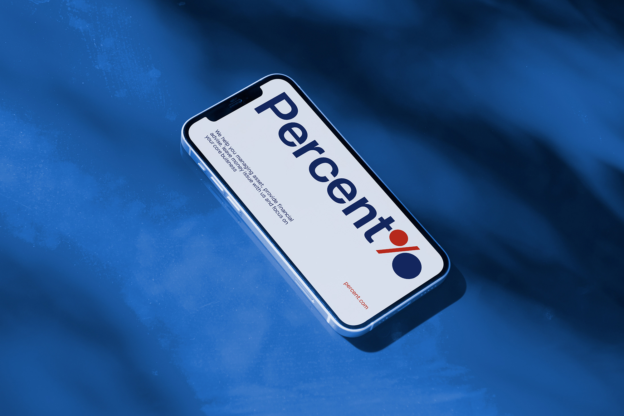 Single Project Image